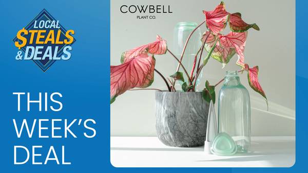 Local Steals & Deals: Effortless Plant Care with Cowbell Plant Co!