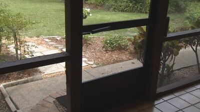 Photos: Mama bear and cubs break into back porch of Orlando home