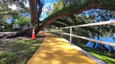 See: Orlando installs sassy signs warning of low tree branch after mishap